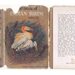 BirdWatching,SalimAli|IndianBirds|BombayHistoricalSociety|Orinthology